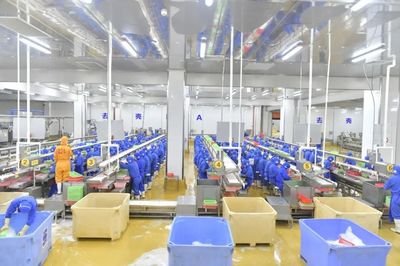 預制菜飄香！湛江企業搶抓“雙循環”萬億市場機遇